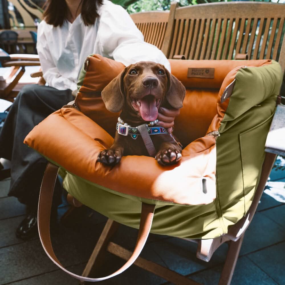 Dog Car Seat Elevated Padded Integrated Safety Belt