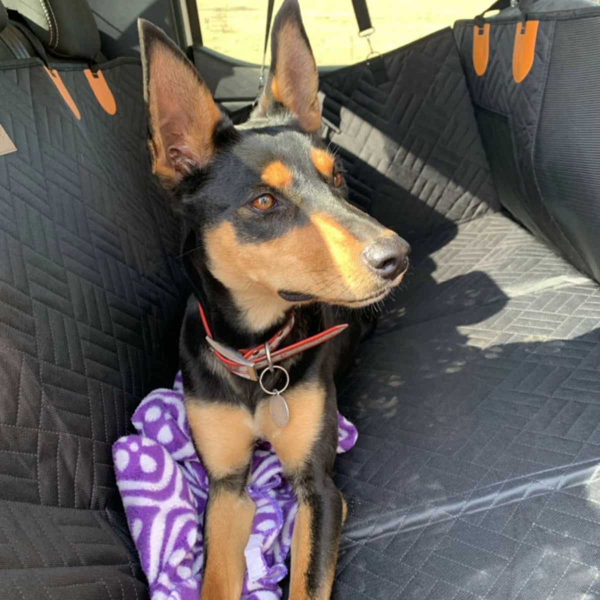 Dog Car Seat Extender Waterproof Hard Base Memory Foam Mattress