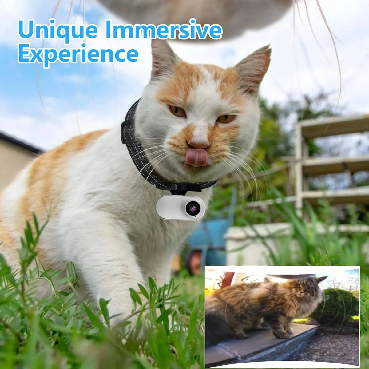 Dog & Cat Camera Collar Wide-Angle HD Night Vision
