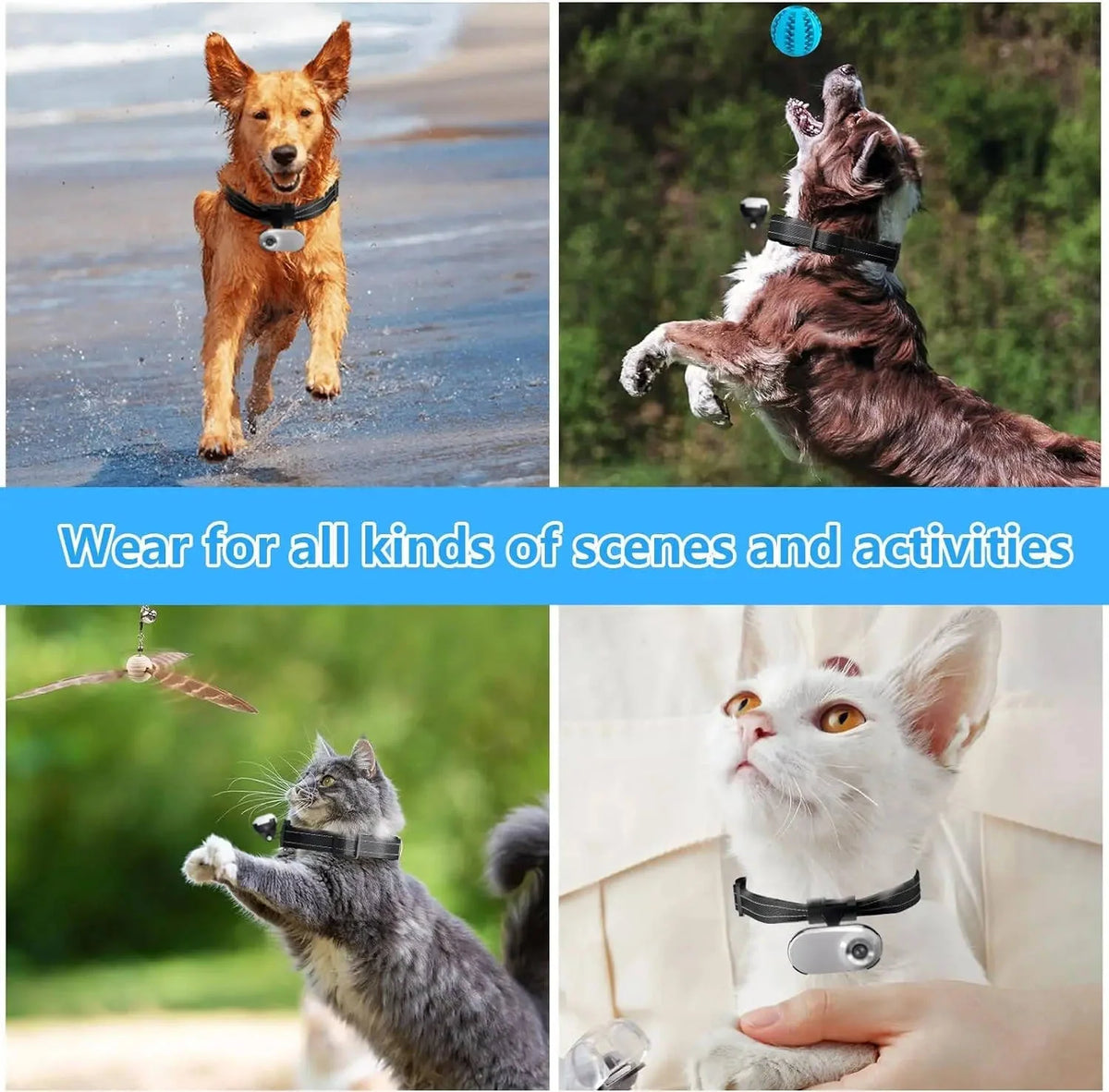 Dog & Cat Camera Collar Wide-Angle HD Night Vision
