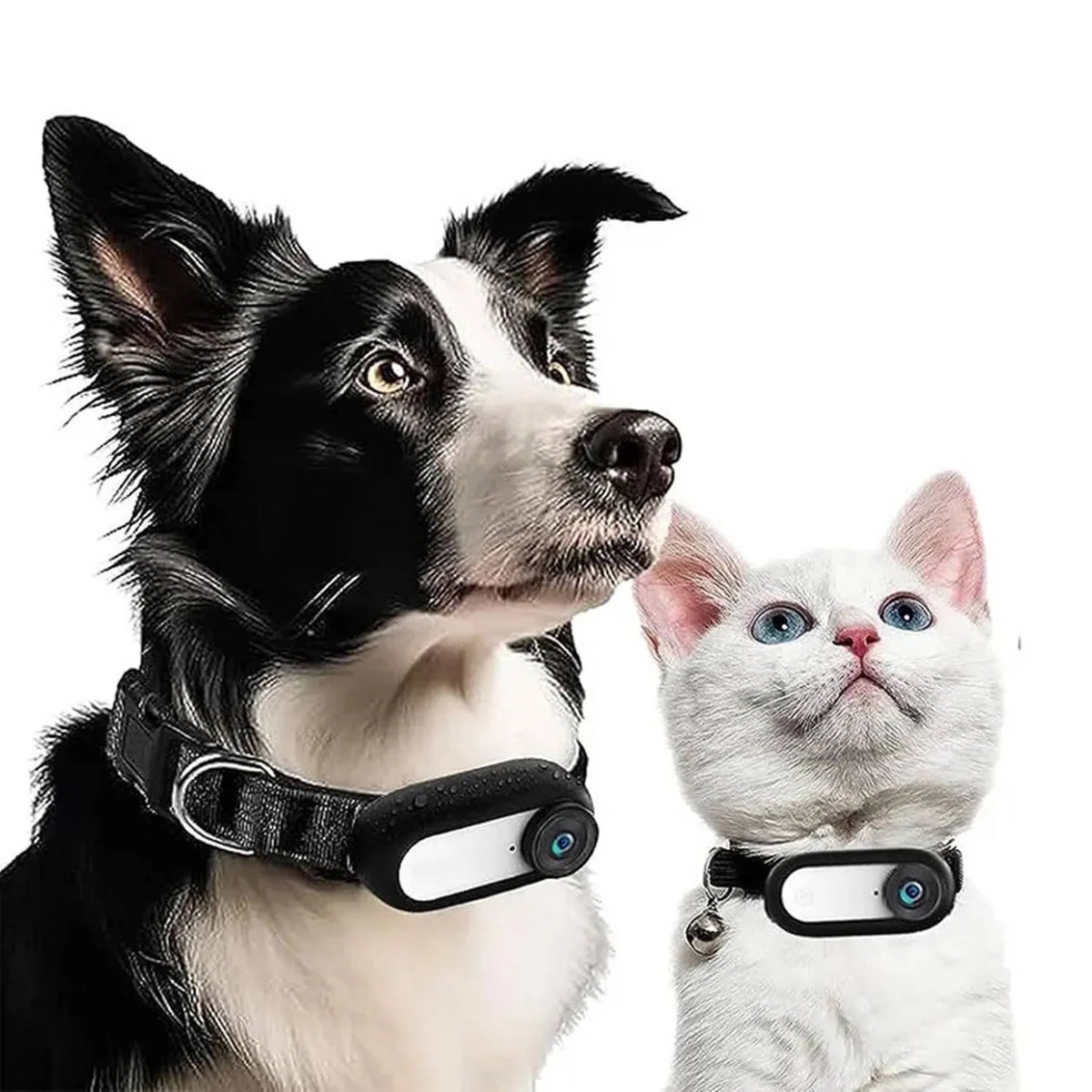 Dog & Cat Camera Collar Wide-Angle HD Night Vision
