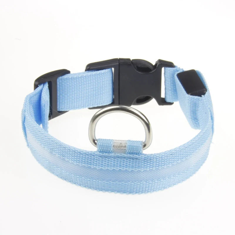Dog Collar LED Light USB-Rechargeable & Adjustable