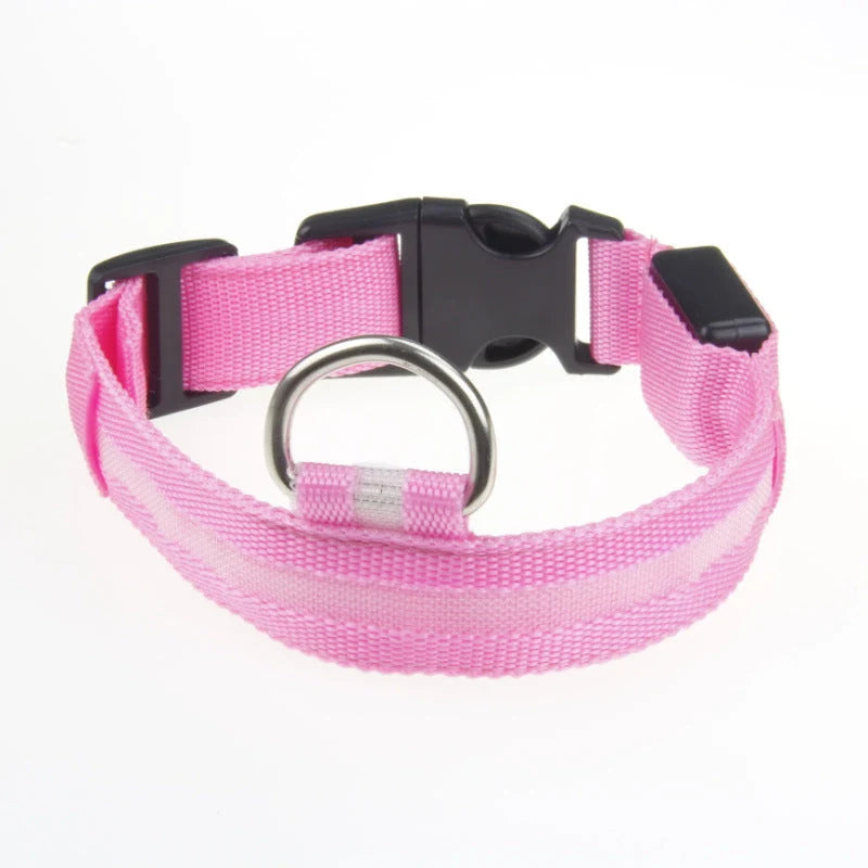 Dog Collar LED Light USB-Rechargeable & Adjustable
