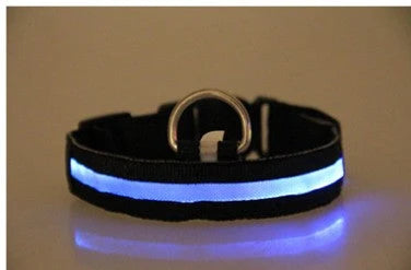 Dog Collar LED Light USB-Rechargeable & Adjustable