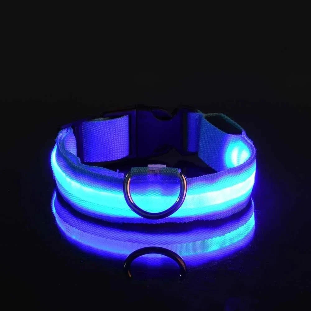 Dog Collar Rechargeable LED High Visibility 3 Light Modes