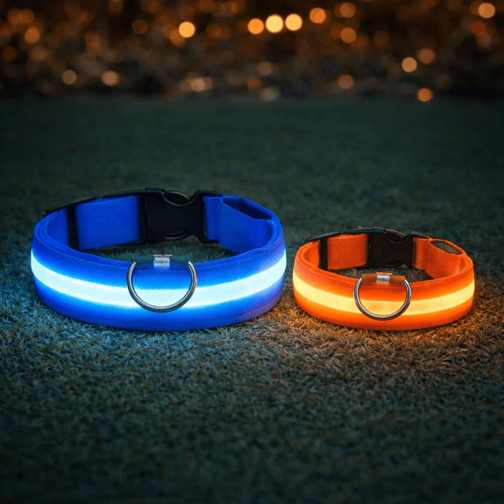 Dog Collar Rechargeable LED High Visibility 3 Light Modes