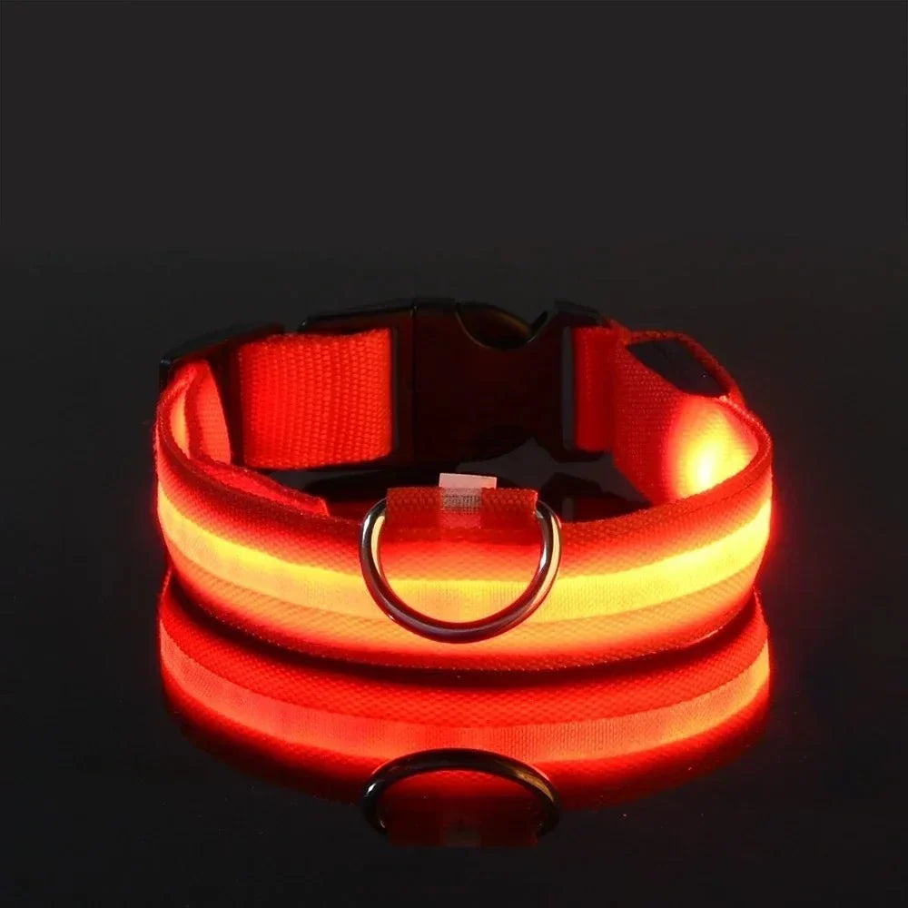 Dog Collar Rechargeable LED High Visibility 3 Light Modes