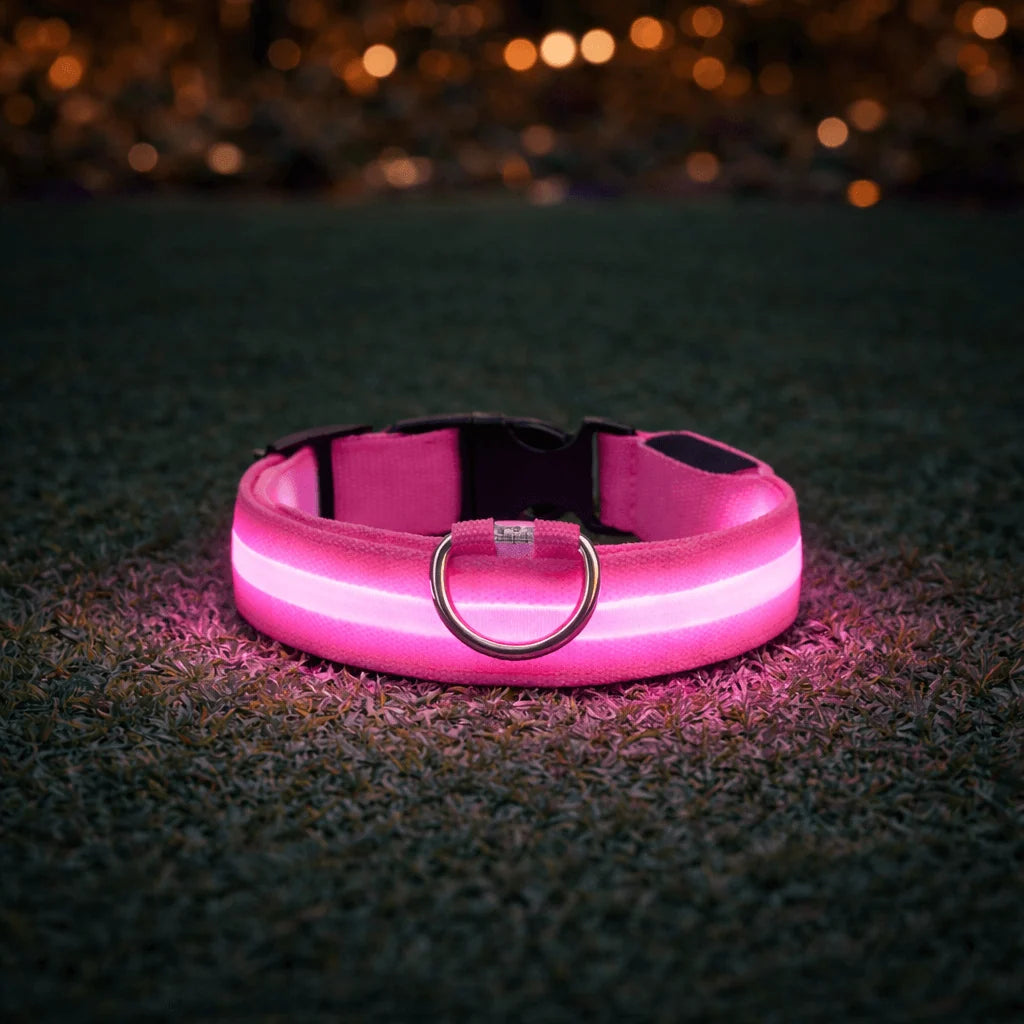 Dog Collar Rechargeable LED Water-Resistant Three Light Modes