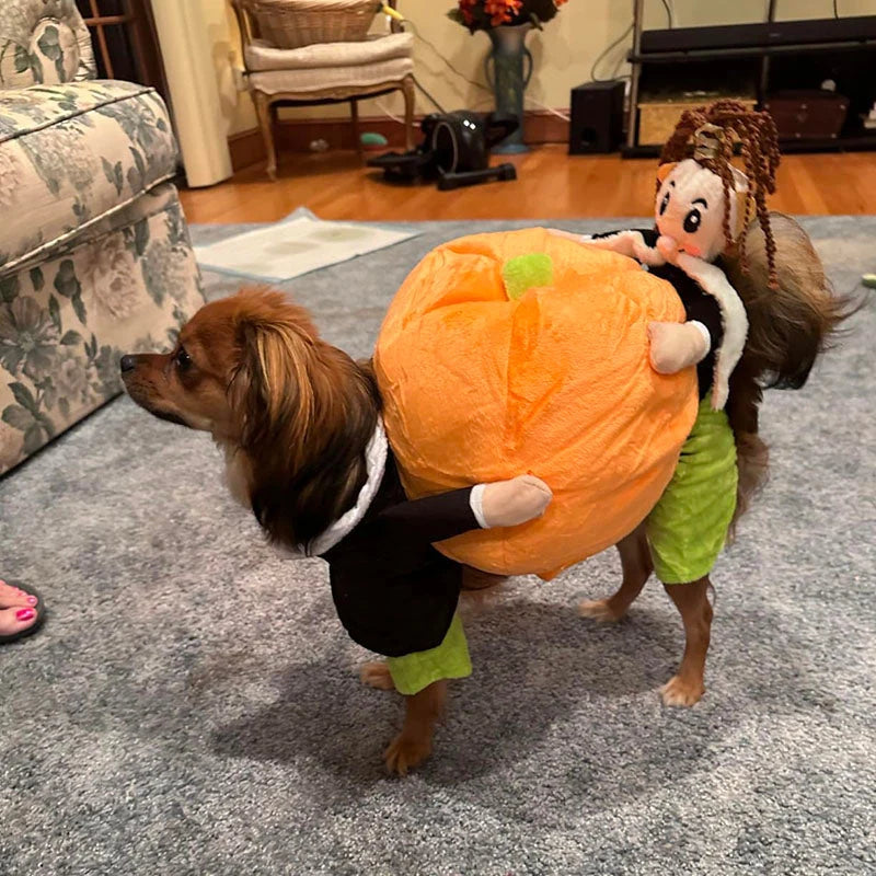 Dog Costume Pumpkin Halloween Velvet Secure Fit