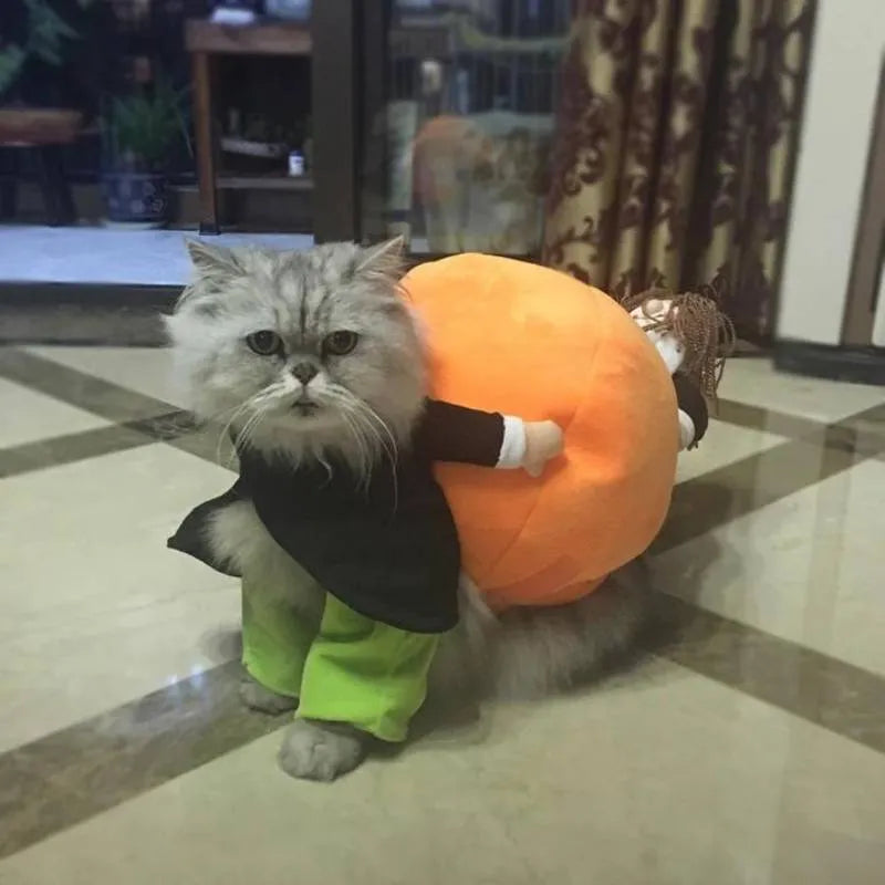 Dog Costume Pumpkin Halloween Velvet Secure Fit