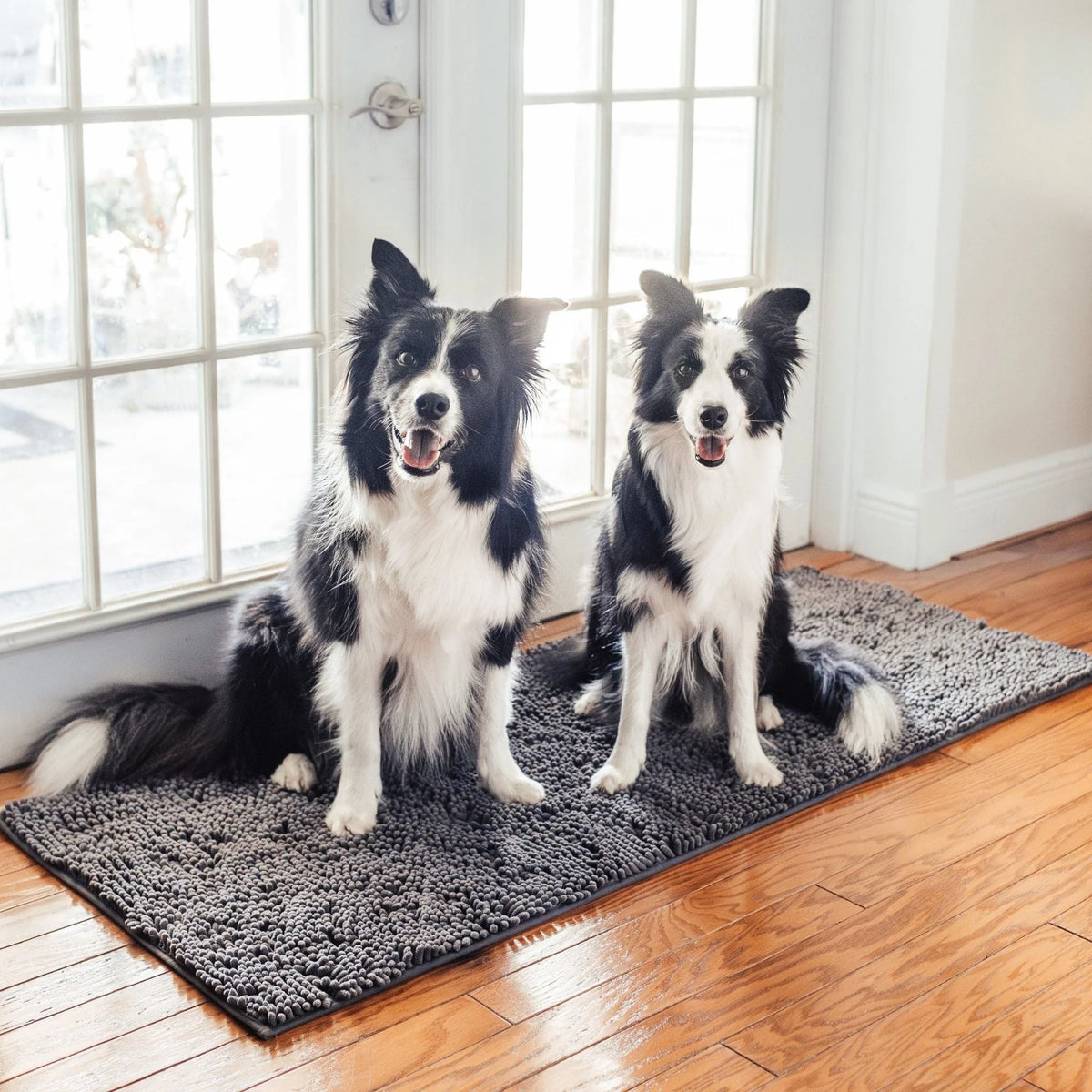Dog Door Mat Absorbent Non-Slip Mud & Moisture Trapping
