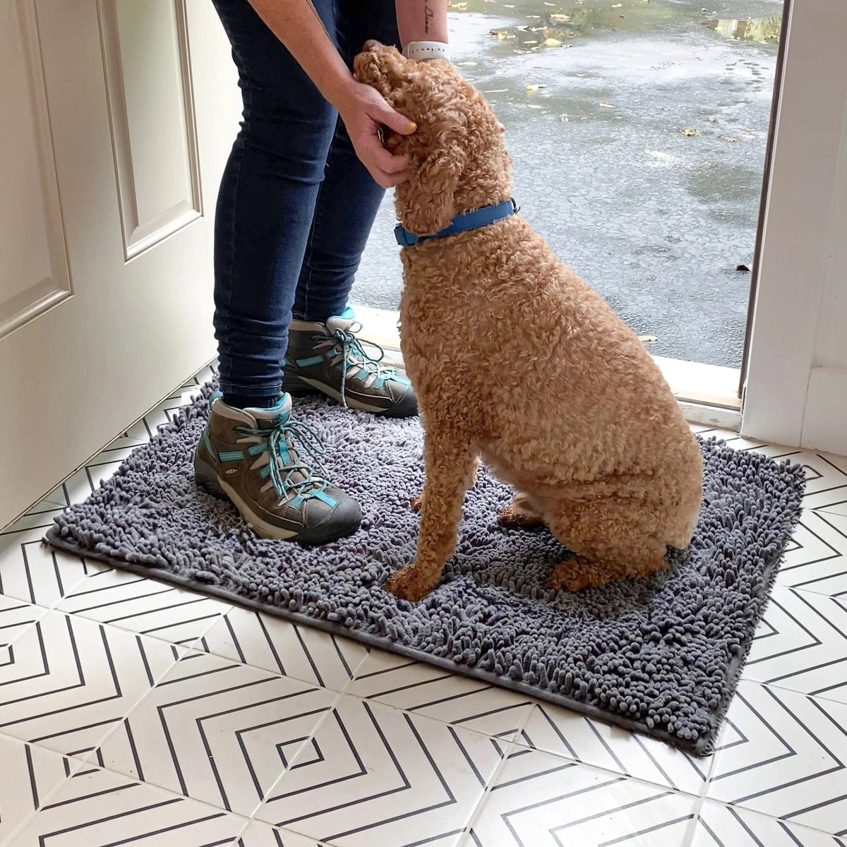 Dog Door Mat Absorbent Non-Slip Mud & Moisture Trapping