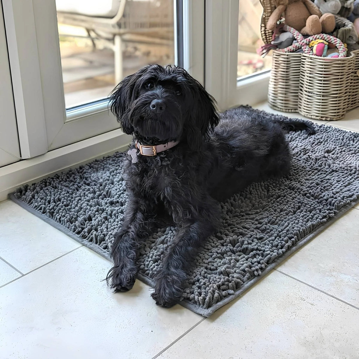 Dog Door Mat Absorbent Non-Slip Mud & Moisture Trapping