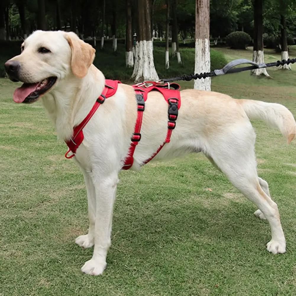 Dog Harness No-Pull Front Clip Reflective Adjustable Fit