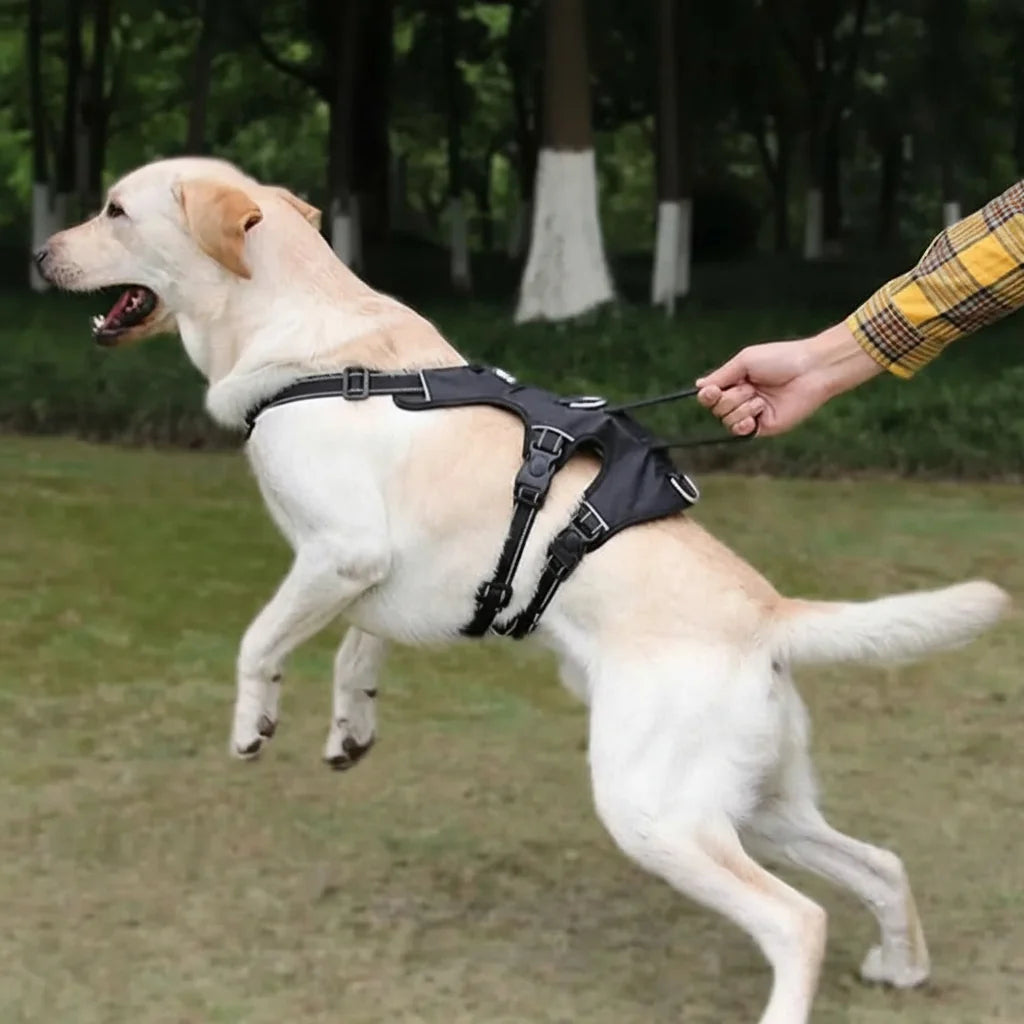 Dog Harness No-Pull Front Clip Reflective Adjustable Fit
