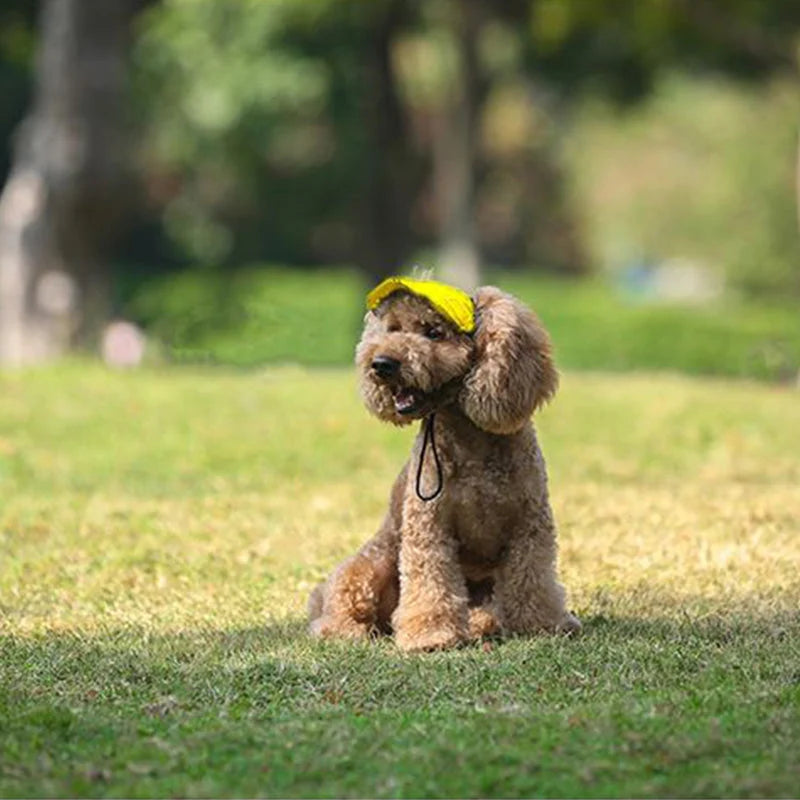 Dog Hat Adjustable Sun Visor Sun Protection