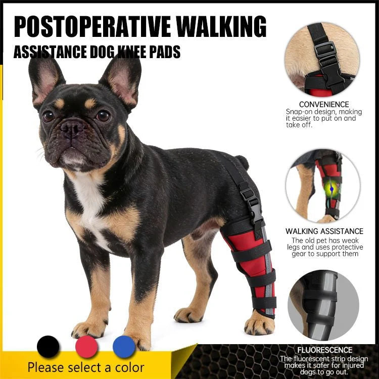 Dog Hind Leg Brace Stable Support Year-Round Wear