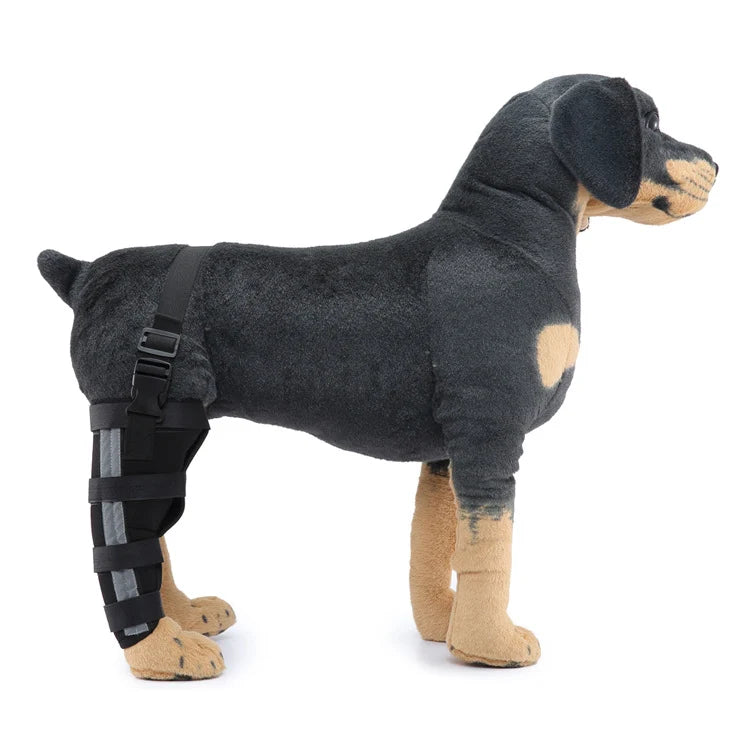 Dog Hind Leg Brace Stable Support Year-Round Wear