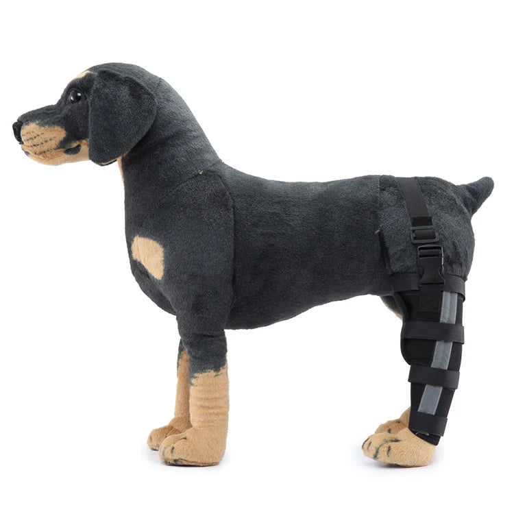 Dog Hind Leg Brace Stable Support Year-Round Wear