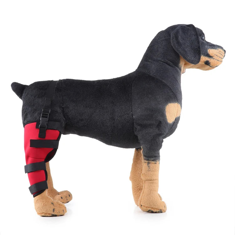 Dog Hind Leg Brace Stable Support Year-Round Wear