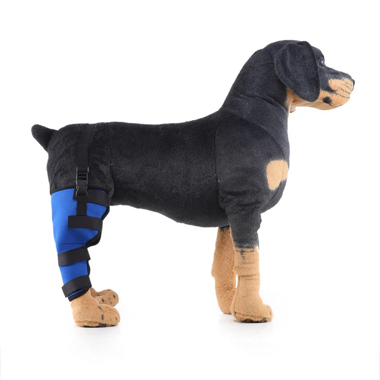 Dog Hind Leg Brace Stable Support Year-Round Wear