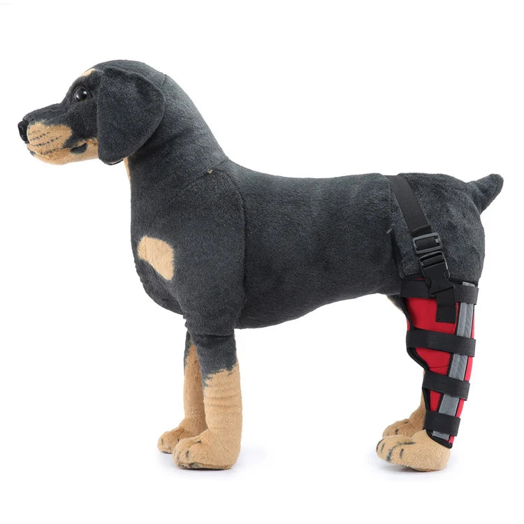Dog Hind Leg Brace Stable Support Year-Round Wear