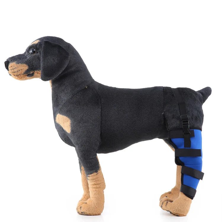 Dog Hind Leg Brace Stable Support Year-Round Wear