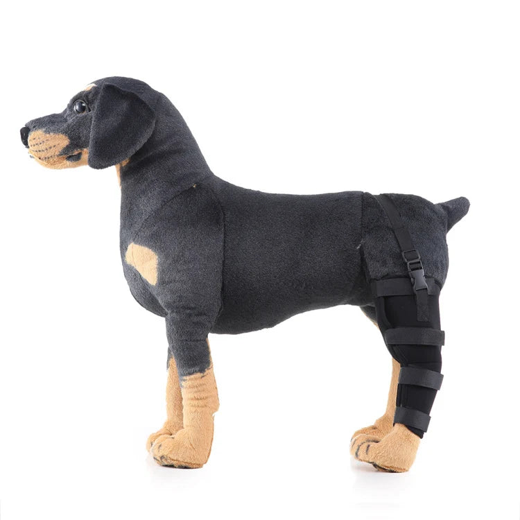 Dog Hind Leg Brace Stable Support Year-Round Wear