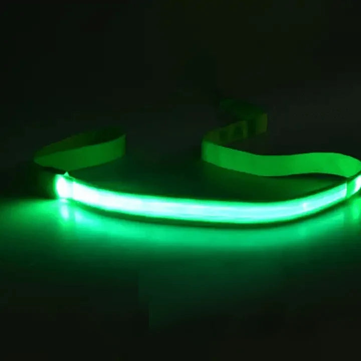 Dog Leash LED Light Reflective Stitching USB Rechargeable