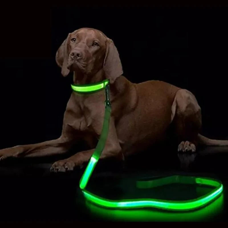 Dog Leash LED Light Reflective Stitching USB Rechargeable