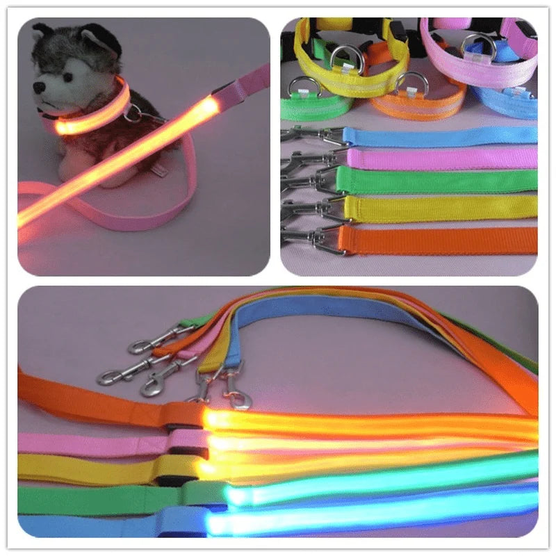 Dog Leash LED Light Reflective Stitching USB Rechargeable
