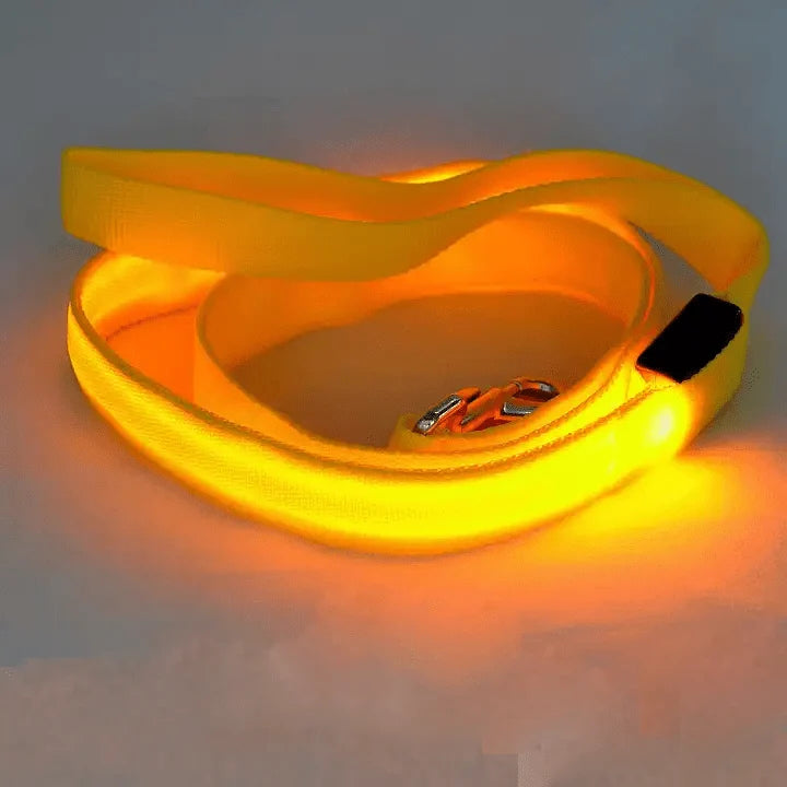Dog Leash LED Light Reflective Stitching USB Rechargeable
