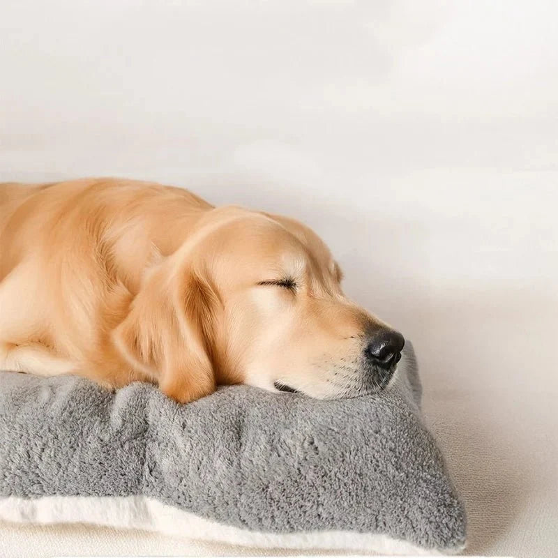 Dog Mat Thick Plush Padding Easy-Care Material