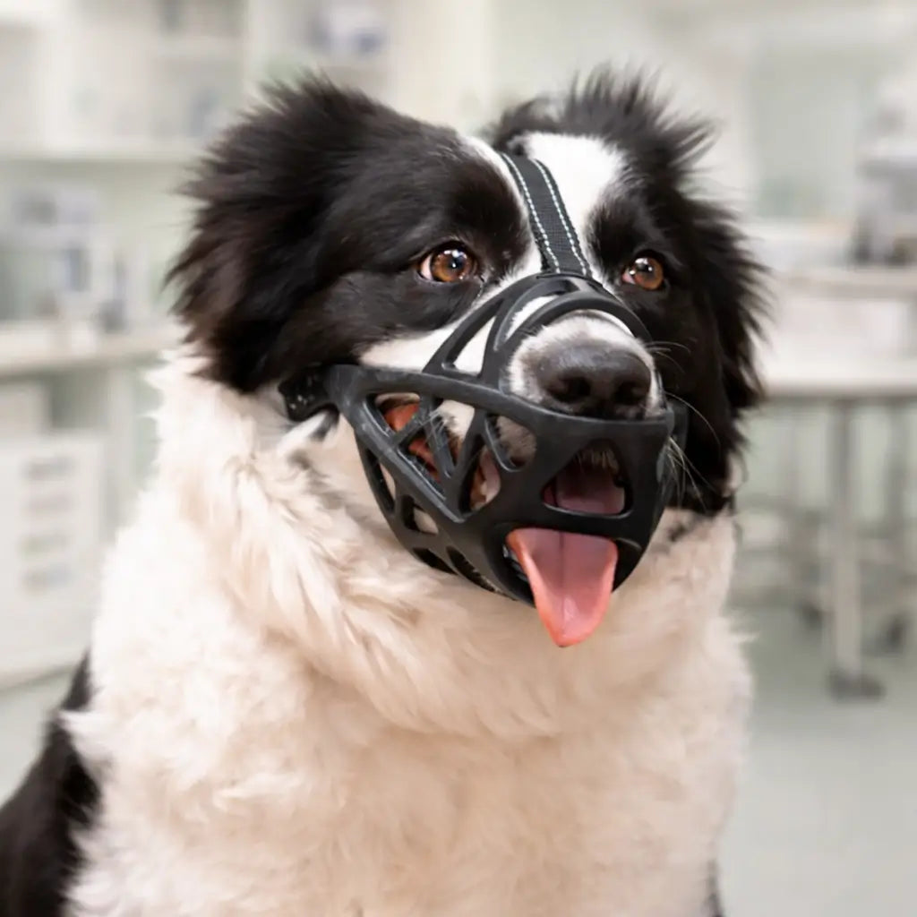 Dog Muzzle Breathable Lightweight Adjustable Reflective Strap