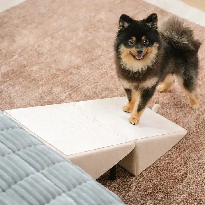 Dog Ramp Convertible Non-Slip 200 lb