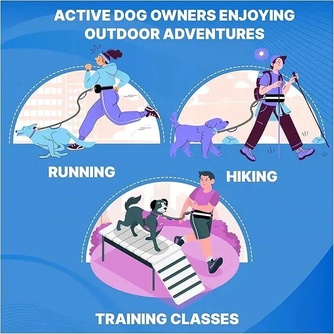 Dog Running Leash Hands-Free Reflective Shock-Absorbing Elastic
