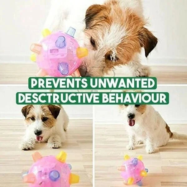 Dog Toy Motion-Activated LED Durable & Non-Toxic