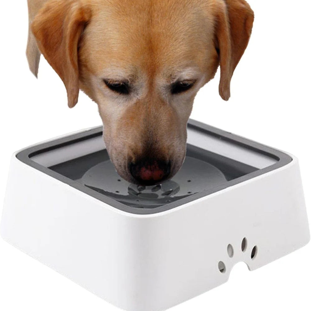 Dog Water Bowl Floating Disk & Non-Slip Base