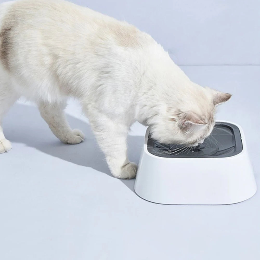 Dog Water Bowl Floating Disk & Non-Slip Base