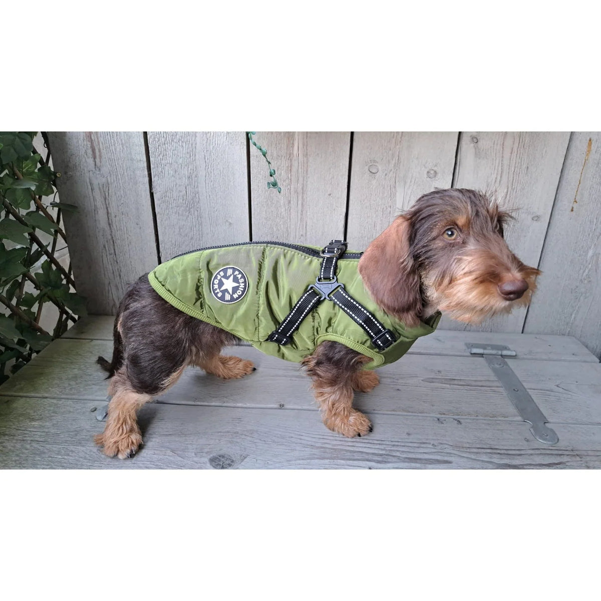 Dog Winter Coat Padded Soft Lining Integrated Harness