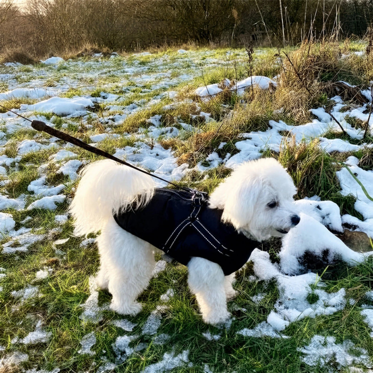 Dog Winter Coat Padded Soft Lining Integrated Harness