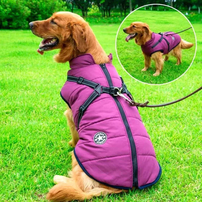 Dog Winter Jacket Waterproof & Sherpa-Lined Built-In Harness