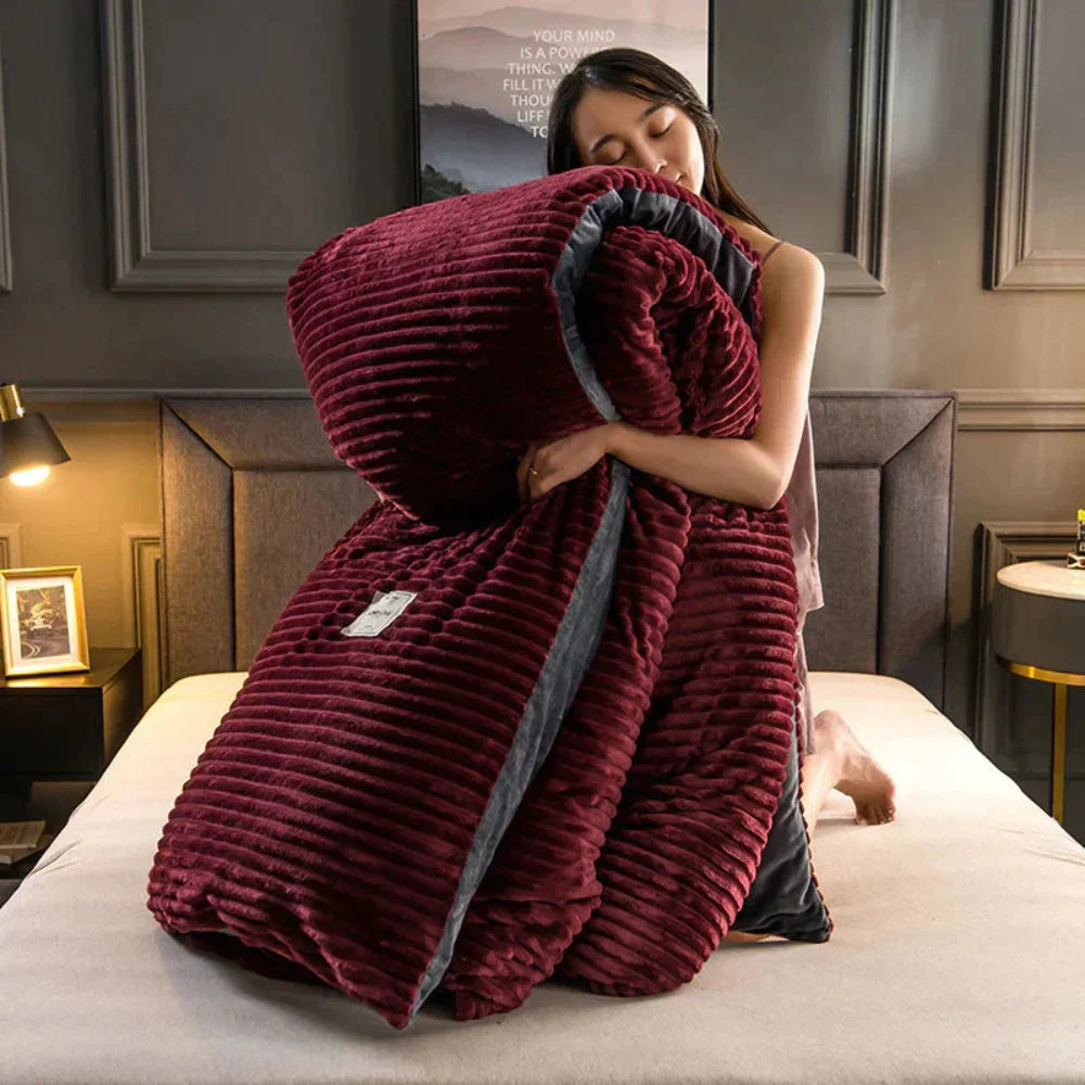 Duvet Cover Set Plush Brushed Winter-Weight Includes 2 Pillowcases