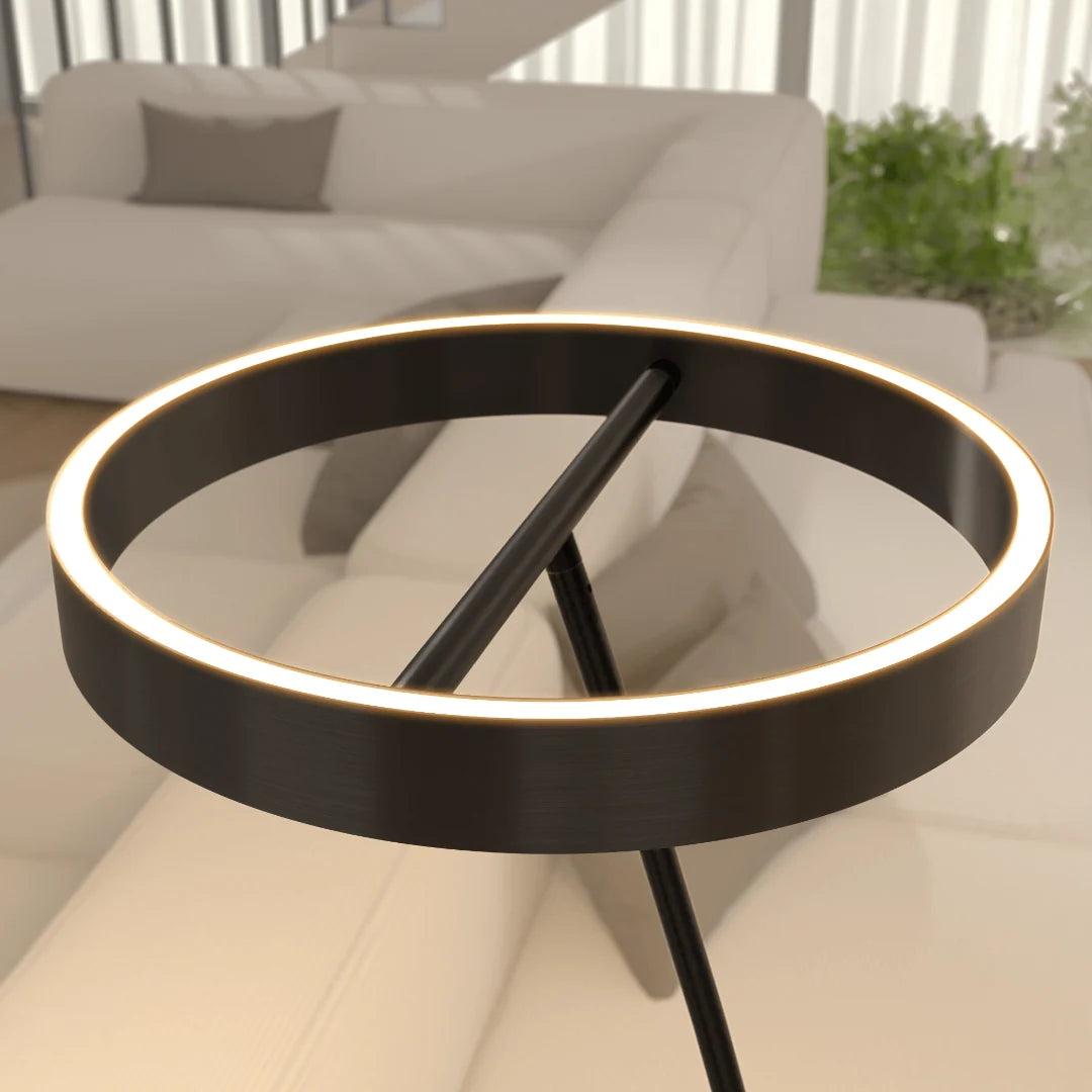 Floor Lamp Remote Control Adjustable Color Temperature
