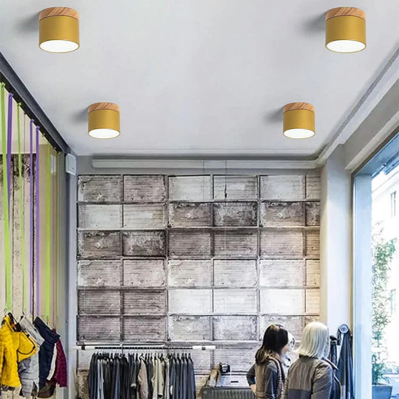 Flush-Mount Ceiling Light Low-Profile Integrated LED 3 Color Temps