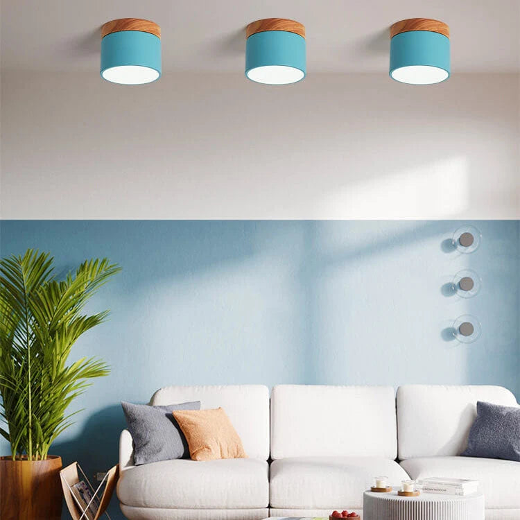 Flush-Mount Ceiling Light Low-Profile Integrated LED 3 Color Temps
