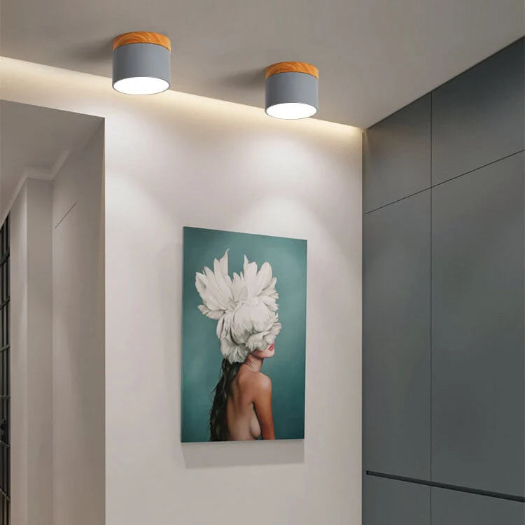 Flush-Mount Ceiling Light Low-Profile Integrated LED 3 Color Temps