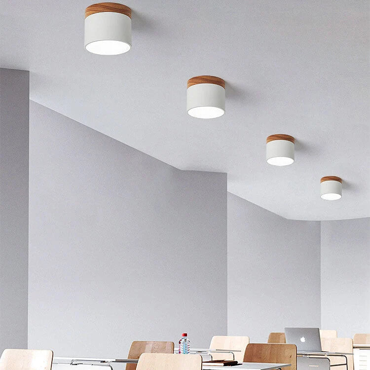 Flush-Mount Ceiling Light Low-Profile Integrated LED 3 Color Temps