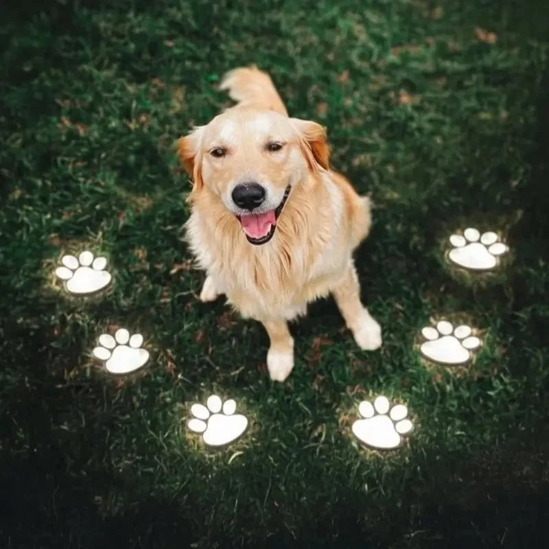Garden Path Lights Paw Print Solar Automatic Dusk Sensor