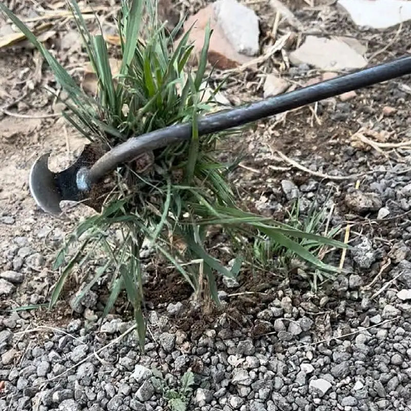 Garden Weeder Long Handle Precision Claw